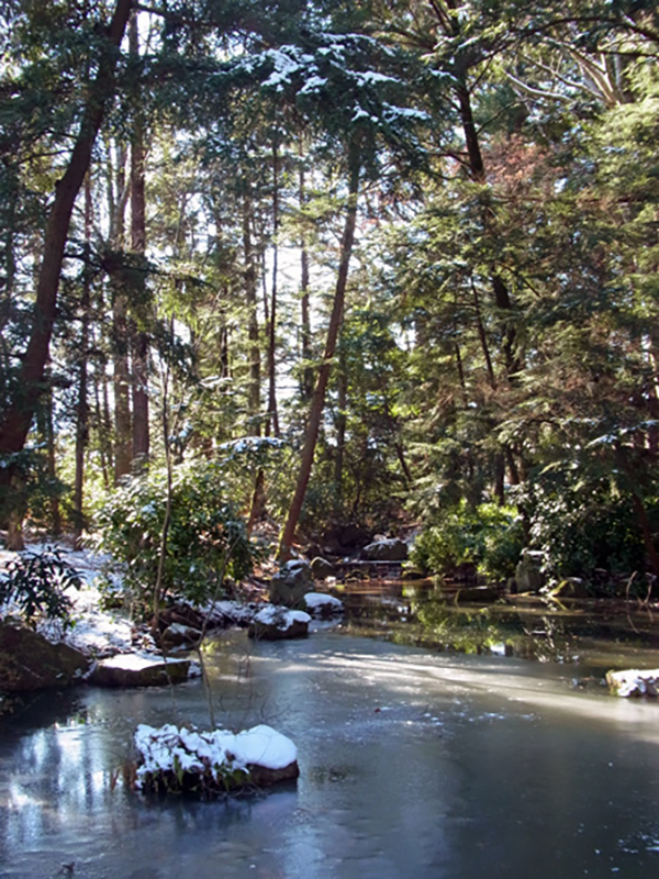 穂高神社の池